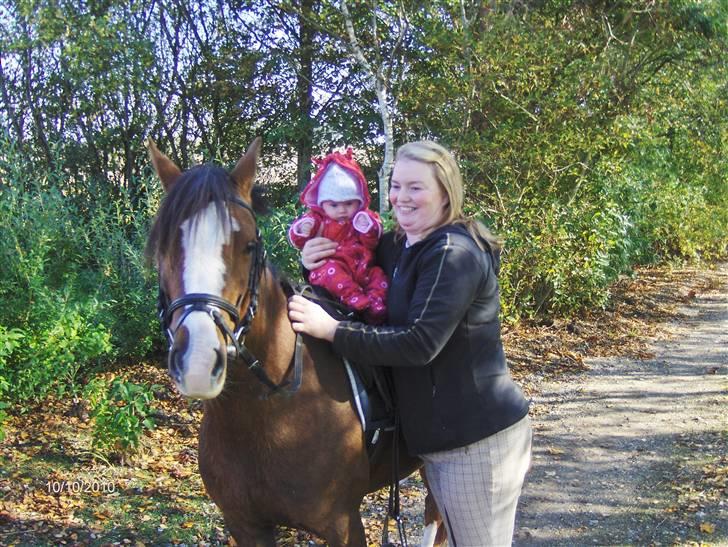 Pige Mie - Mie til hest for 1. gang 10.10 2010 billede 15