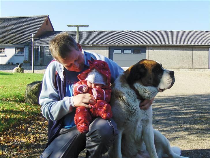 Pige Mie - Mie med sin far og hund billede 16