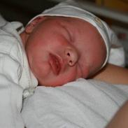 Pige Alberte Isabella Brinch