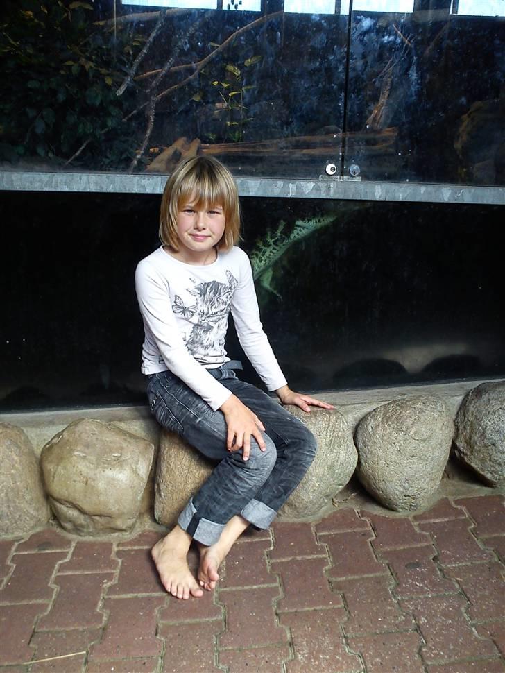 Pige Cecilie billede 16