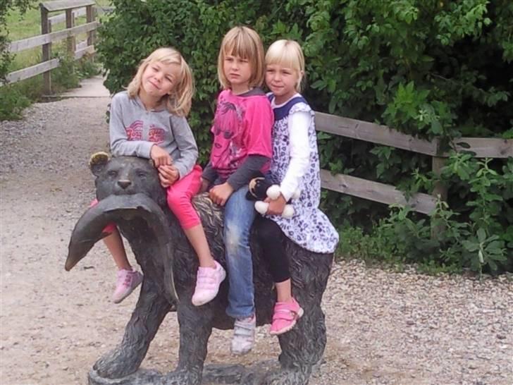 Pige Cecilie billede 17