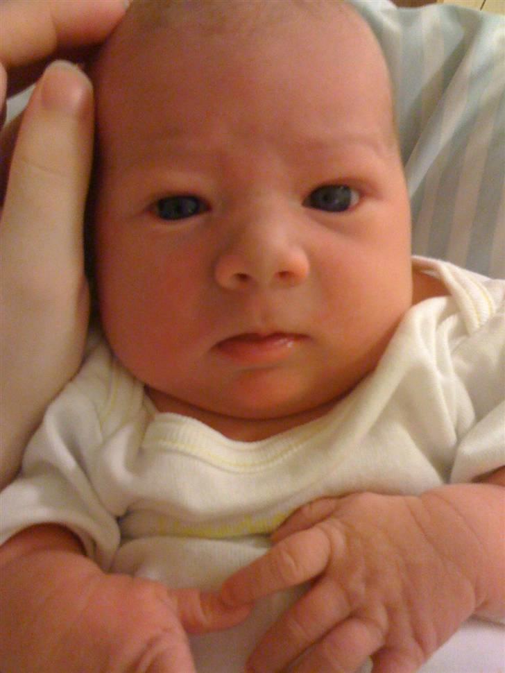 Dreng Silas - 2 døgn gammel billede 1