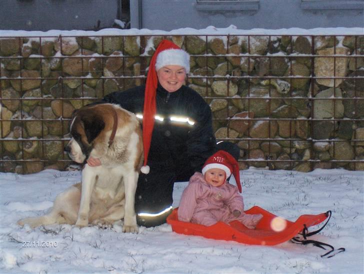 Pige Mie - 27 november 2010- Mie i den første sne billede 18