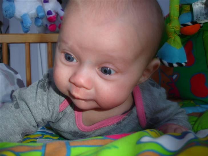 Pige Astrid billede 10