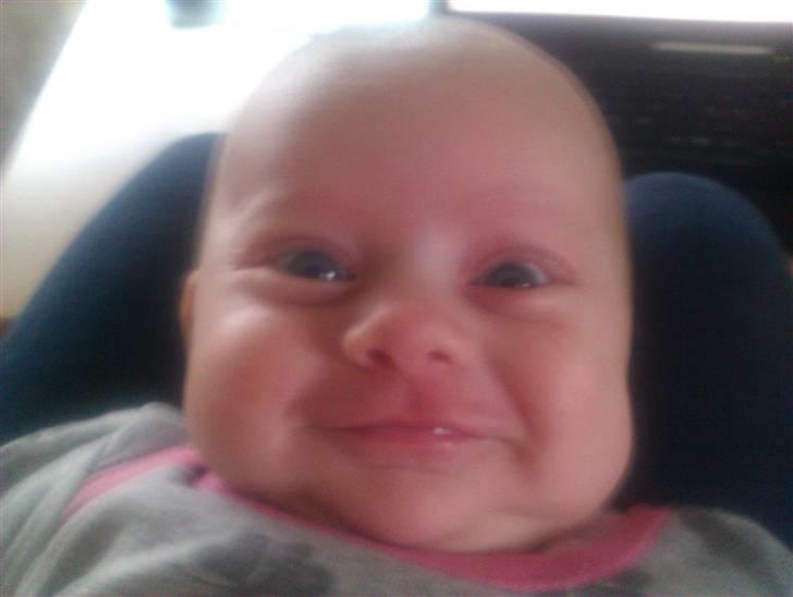 Pige Astrid billede 13