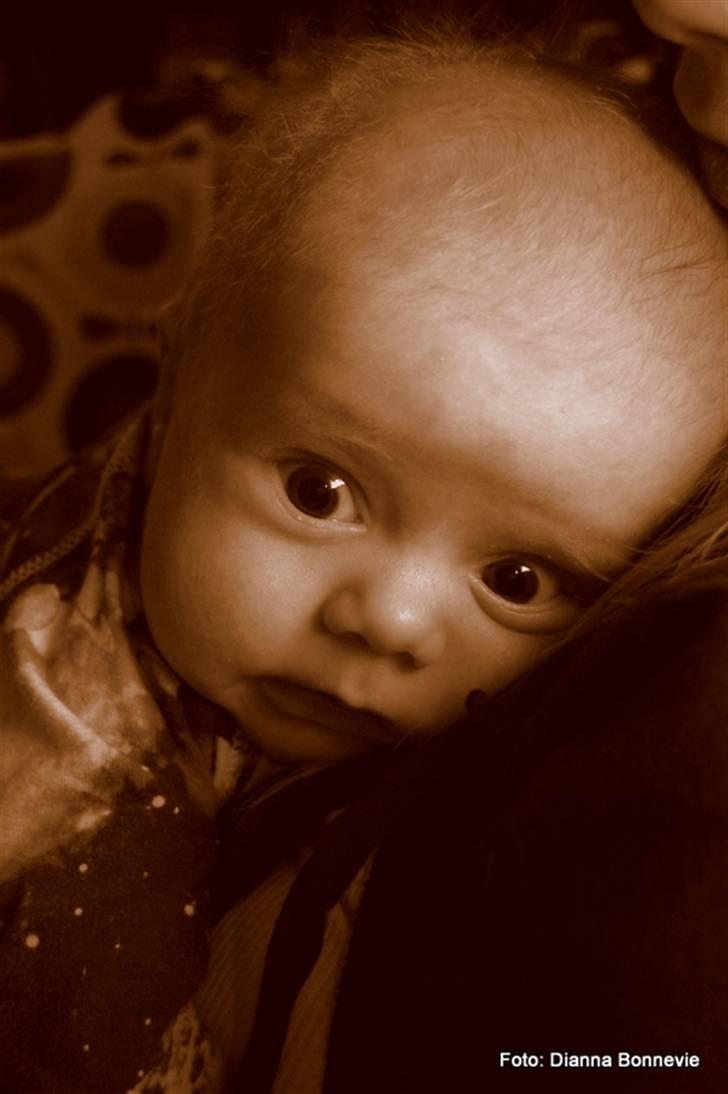 Dreng Ioannis billede 1