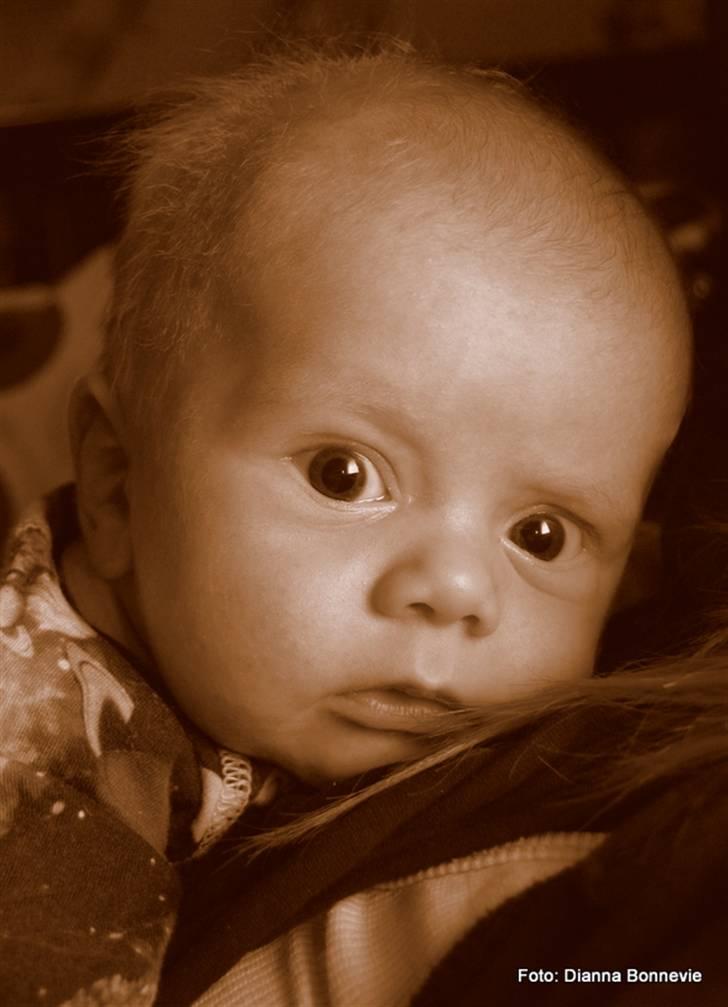 Dreng Ioannis billede 2