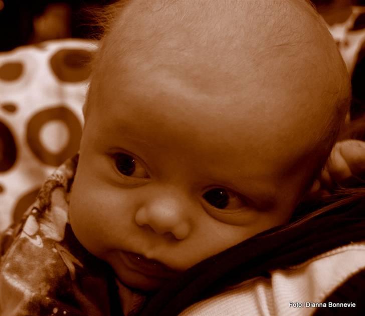 Dreng Ioannis billede 3