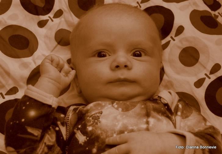 Dreng Ioannis billede 4