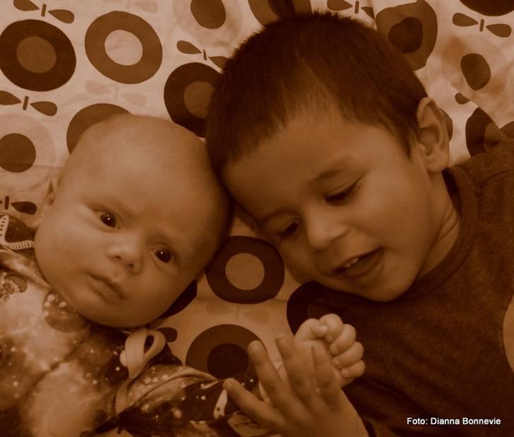 Dreng Ioannis billede 5