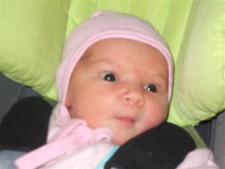 Pige Anna Kirstine billede 3