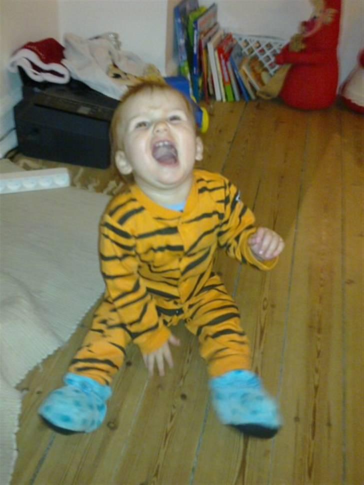 Dreng Jonathan R. S. Kristensen - Mors lille tiger <3 billede 15