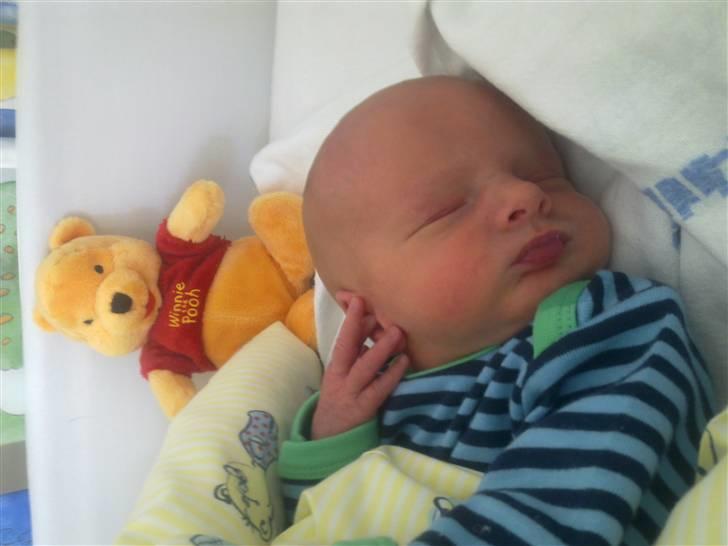 Dreng Benjamin - B 2 dage gammel billede 3