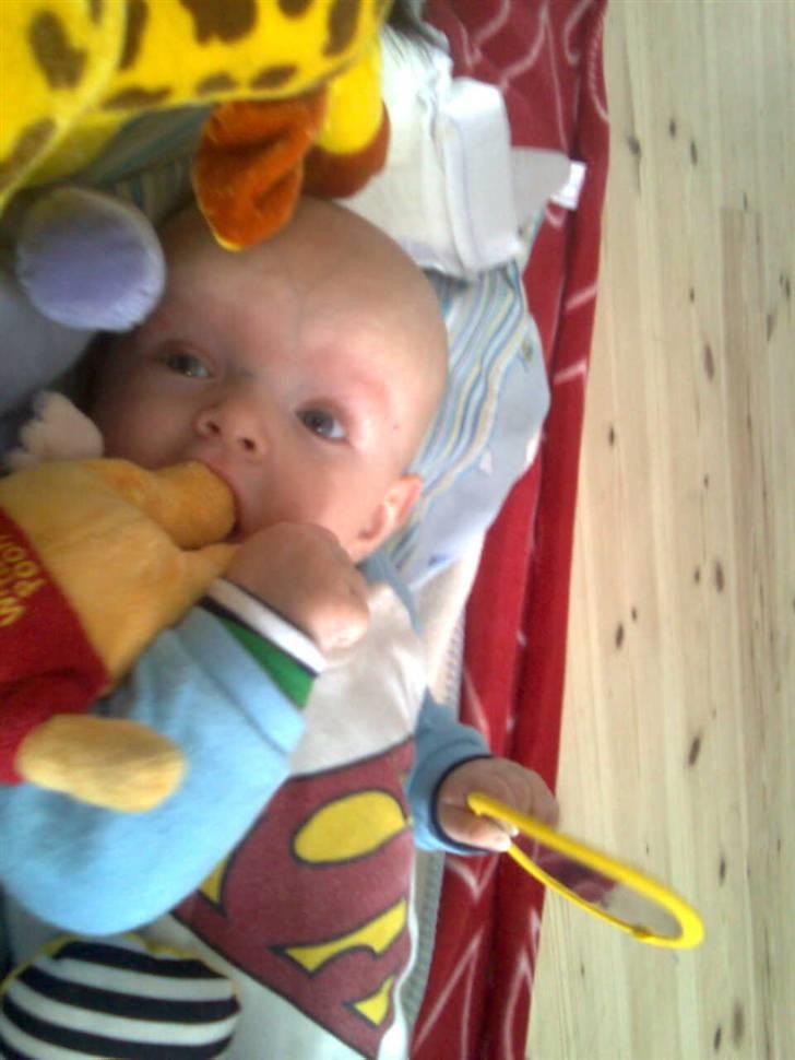 Dreng Benjamin billede 7