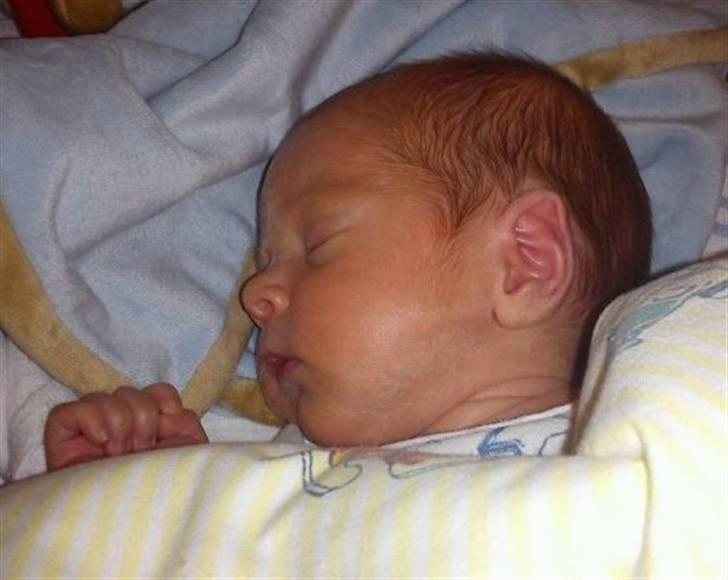 Dreng Nicolai  billede 5