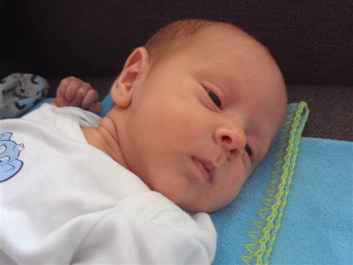 Dreng Nicolai  billede 6