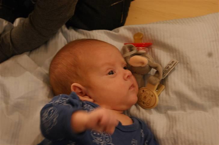 Dreng Nicolai  - Nytårs aften 2010/11 billede 13