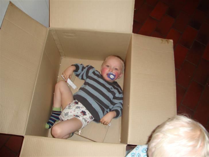 Dreng Phillip N Frohwirth - Klar til afsendelse billede 4