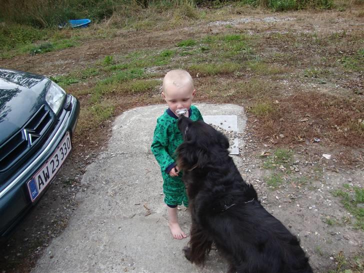 Dreng Phillip N Frohwirth billede 6