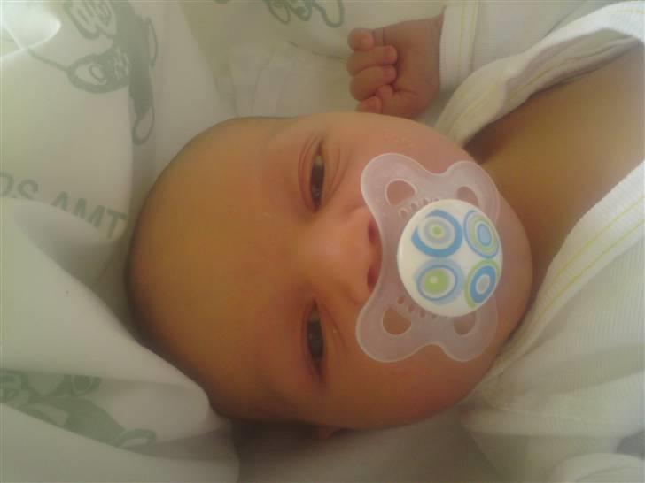 Dreng Theo - Theo 1 dag gammel billede 8