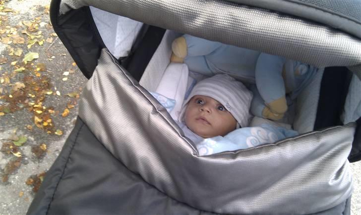 Dreng Theo - Theo elsker at gå lange ture med mor billede 13