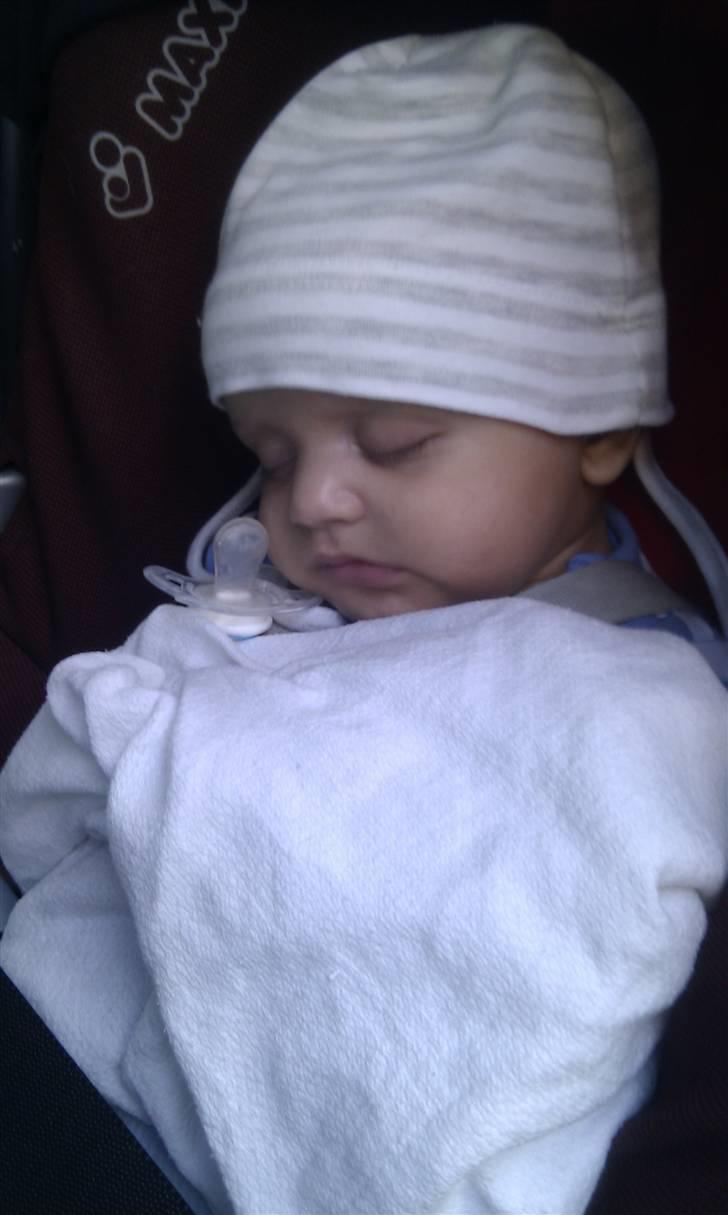 Dreng Theo - sover altid i bilen, lille pus billede 15