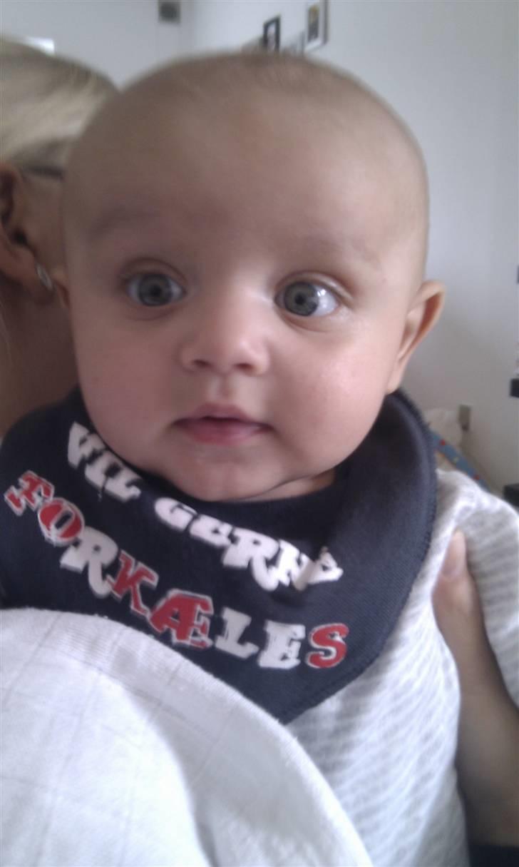 Dreng Theo - tittebøøøh :D Tihiii billede 17