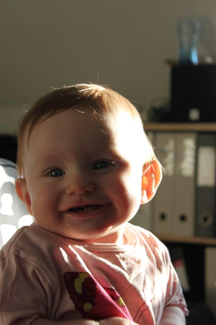 Pige Ronja Struve Jakobsen - D. 7 jan 2011  Madtid billede 16