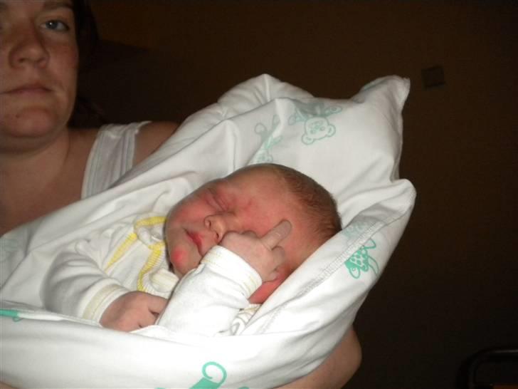 Dreng lucaz - lucaz 4 timer efter hans fødsel  billede 1