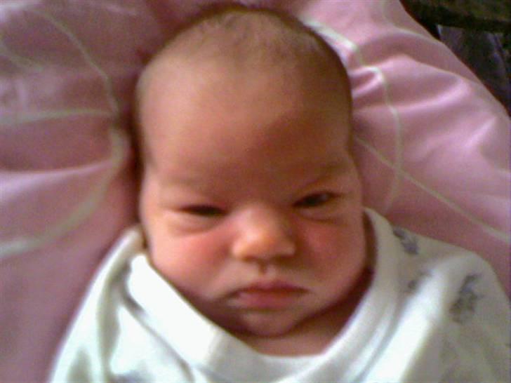 Pige Amalie  billede 3
