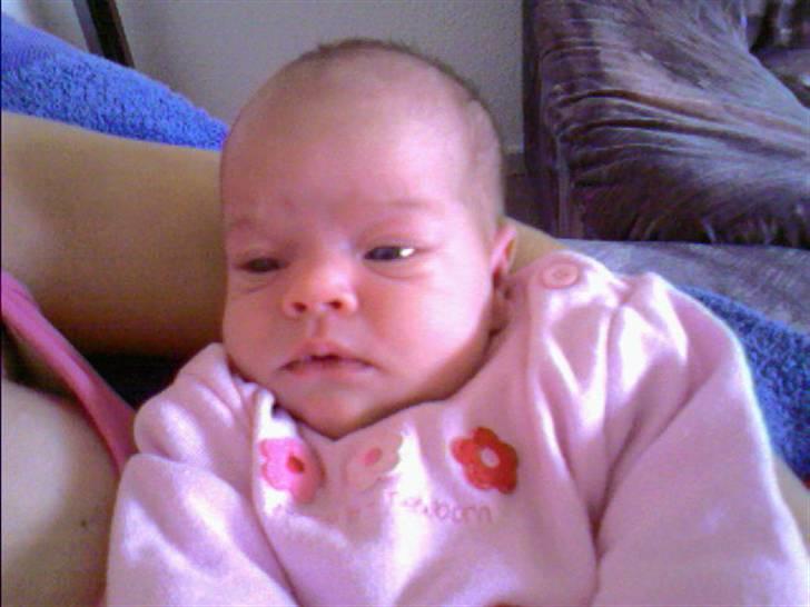 Pige Amalie  billede 7