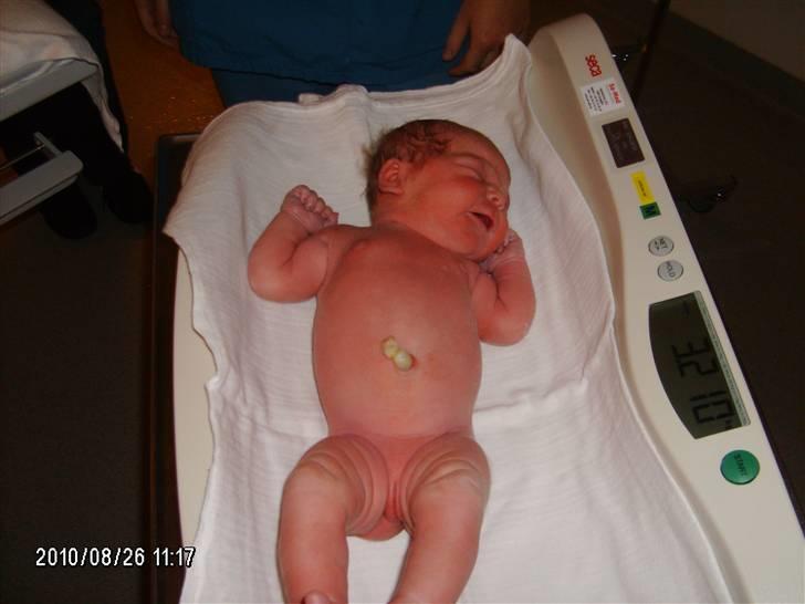 Pige Nanna Rosenkilde Pedersen - Så stor var jeg da jeg blev født 3210 g. og 50 cm. billede 5