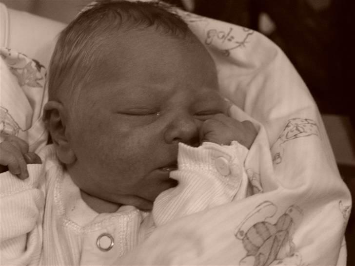 Dreng Christian Bitsch Brandt billede 1