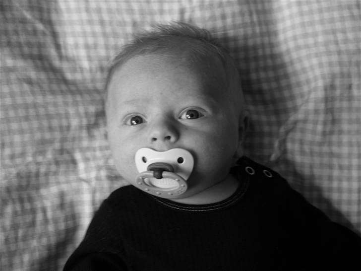 Dreng Christian Bitsch Brandt - Mmmh sutten.  billede 2