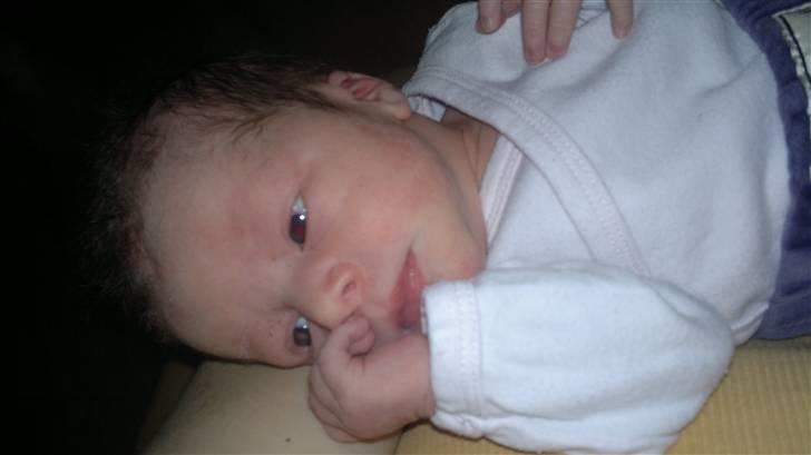 Pige Nicolina H. G. Eriksen billede 3