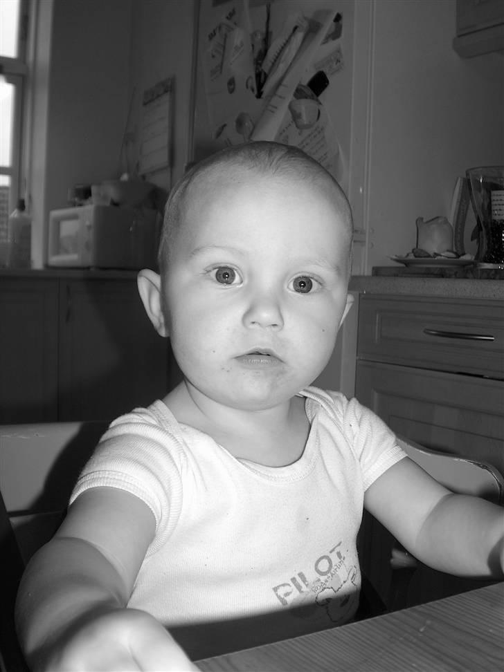 Pige Pixie billede 2