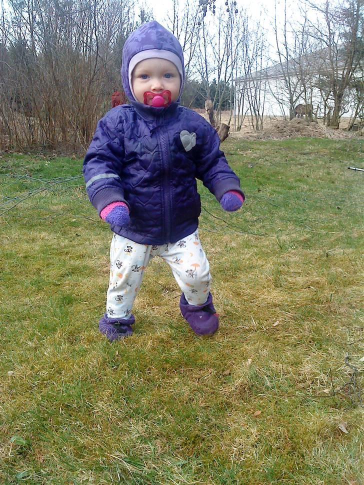 Pige olivia billede 11