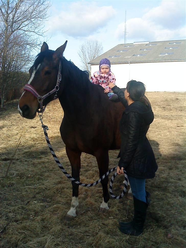 Pige olivia billede 19