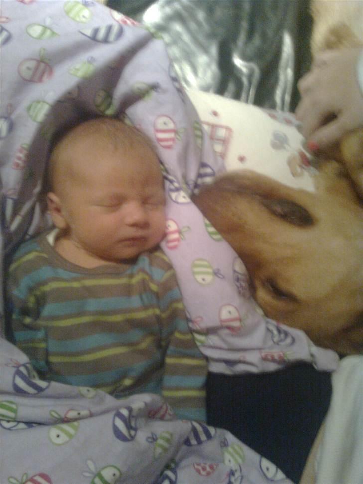 Dreng <3 Frederik <3 - Min sovende dreng og hund :) billede 5
