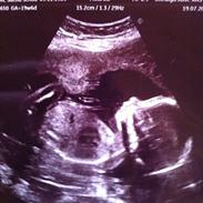 Pige Jolene marie ravn stausholm