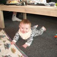 Dreng Sander