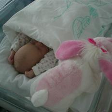 Pige Gabriella Sophia