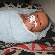 Dreng Alexander Noah