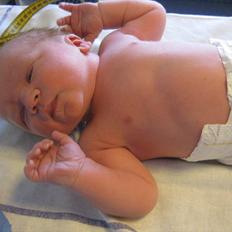 Dreng Alexander Noah