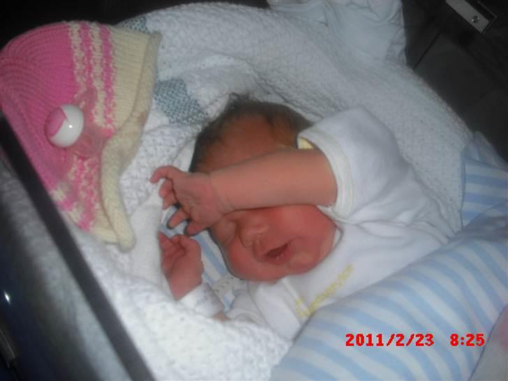 Pige Eva Anna Juhler - 2 dage gammel (:  billede 3