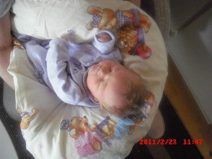 Pige Eva Anna Juhler - 2 dage gammel og er kommet hjem til farmor.  billede 4