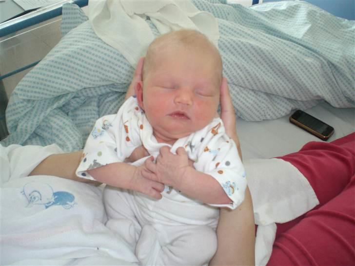 Pige Gabriella Sophia billede 1