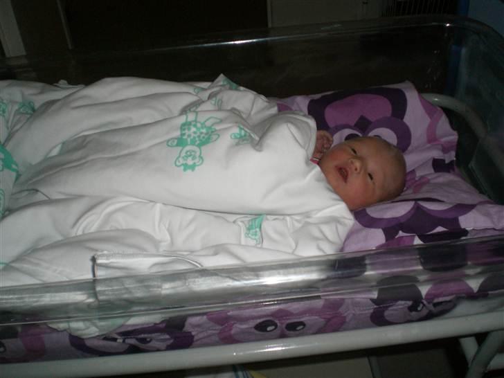 Pige Gabriella Sophia billede 2