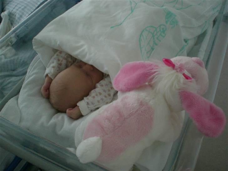 Pige Gabriella Sophia billede 3
