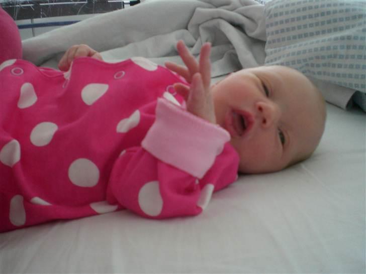 Pige Gabriella Sophia billede 4